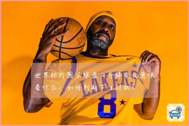 世界杯外围买球盘口升降变化意味着什么，如何判断下注时机？