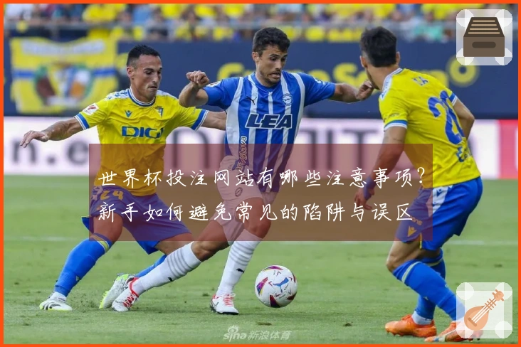 世界杯投注网站有哪些注意事项？新手如何避免常见的陷阱与误区