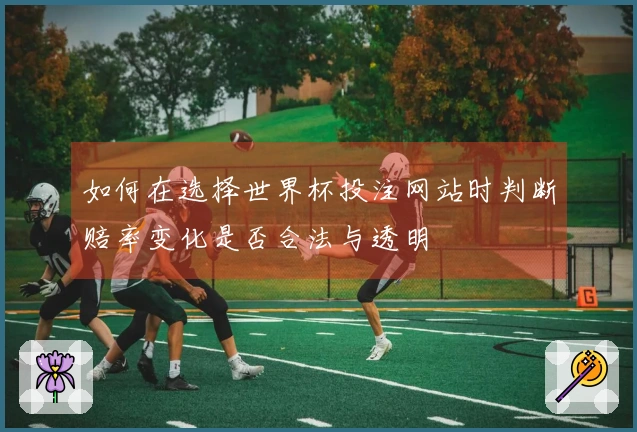 如何在选择世界杯投注网站时判断赔率变化是否合法与透明