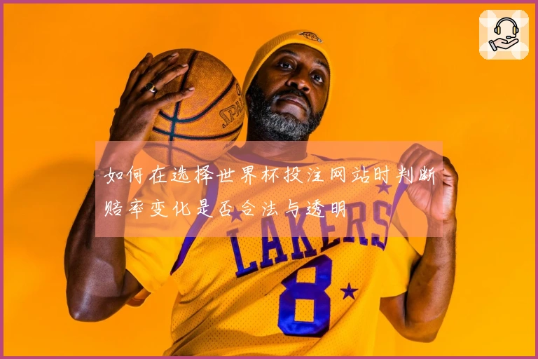 如何在选择世界杯投注网站时判断赔率变化是否合法与透明