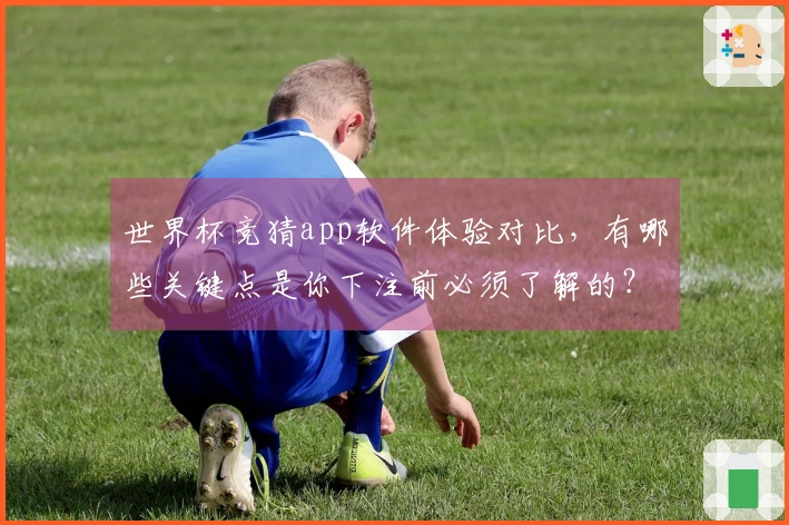 世界杯竞猜app软件体验对比，有哪些关键点是你下注前必须了解的？